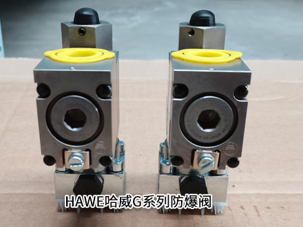 哈威G3-12B 1.0-X24EX55FM 哈威G3-12B 1.0-X24EX55FM