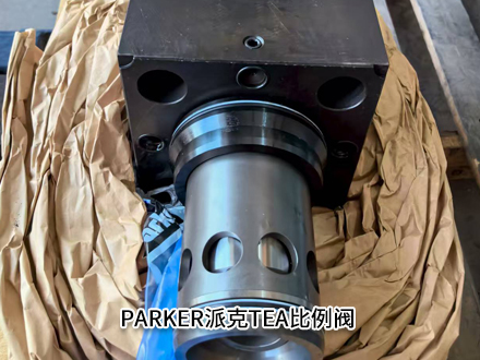 派克TEA063EW09A2NLWJ